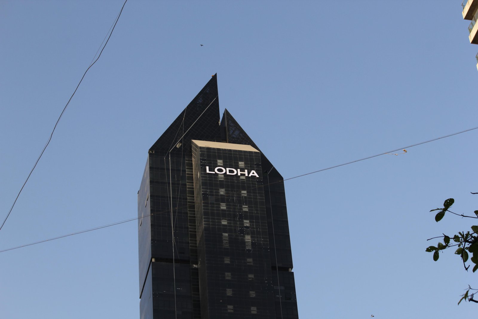 Lodha 6