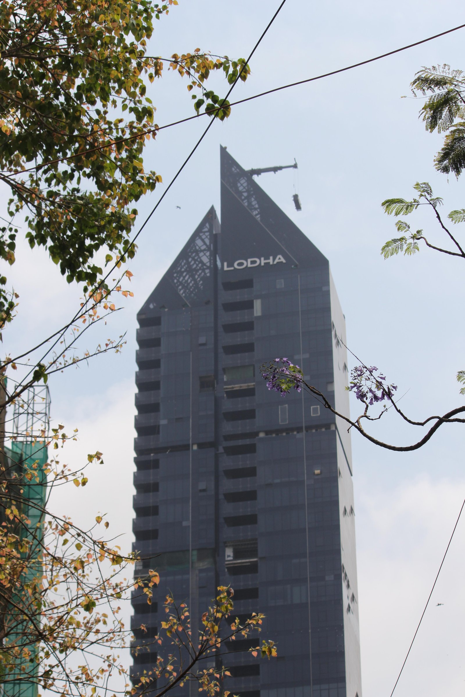 Lodha 6